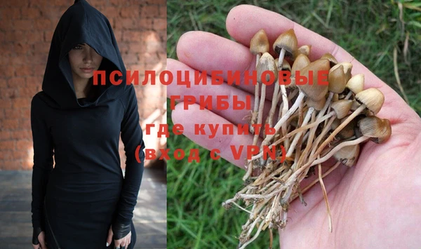 ешки Вяземский