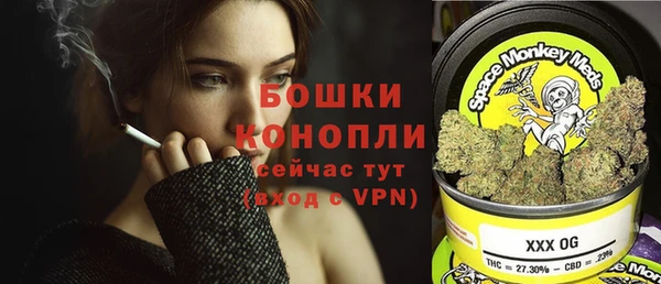 ешки Вяземский